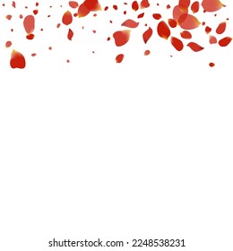 Beautiful Lotus Japanese Vector White Background. Fall Sakura Wallpaper. Red Cherry Tender Cover. Pink Flower Blur Template.