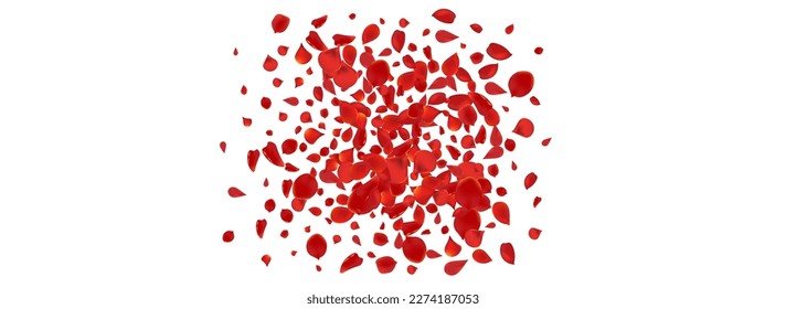 Beautiful Lotus Spring Vector Panoramic White Background. Japan Rose Design. Red Petal Fall Texture. Delicate Floral Summer Backdrop.