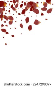 Beautiful Lotus Spring Vector White Background. Fly Floral Backdrop. Delicate Cherry Japanese Pattern. Burgundy Rose Japan Texture.