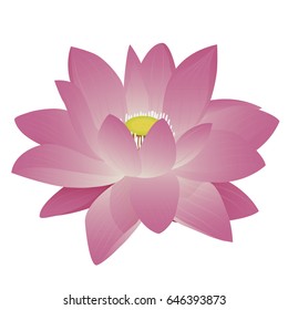 beautiful lotus vector design