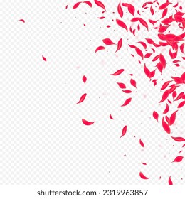 Beautiful Lotus Vector Transparent Background. Blur Sakura Cover. Delicate Flower Japanese Template. Pink Falling Cherry Pattern.