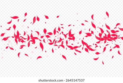 Beautiful Lotus Vector Transparent Background. Beauty Peach Wallpaper. Delicate Rose Fall Cover. Red Falling Sakura Frame.