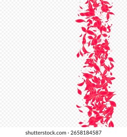 Hermoso Vector De Loto De Fondo Transparente. Ilustración de flor de otoño. Plantilla de primavera de flor rosa. Cubierta delicada del pétalo del verano.