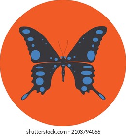 Beautiful and lovely vector butterfly suitable for editing and icon material