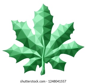 Beautiful low poly art with green maple leaf on white background