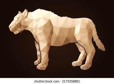 Beautiful Low Poly Illustration With Colorful Decorative Wild Cat Silhouette On The Dark Background