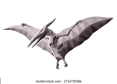 Schöne Low-Poly-Illustration mit stilisierter fliegender Pterodactylsilhouette einzeln auf weißem Hintergrund
