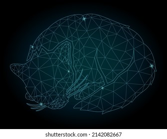 Beautiful low poly vector illustration with decorative starry sleeping cat silhouette on the dark background