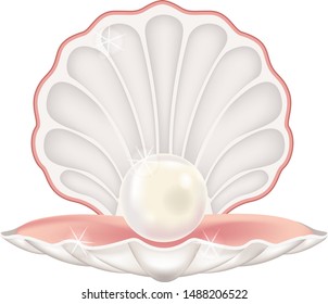  Beautiful luxury pearl in sea shell (vector)