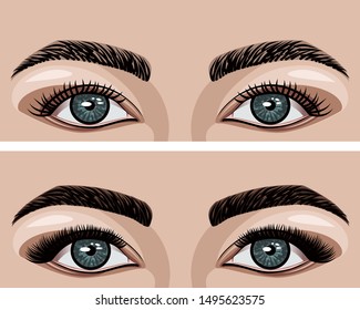 Beautiful macro of female eye. Perfect shape of eyebrows, brown eyeshadows and long eyelashes. Before and after.