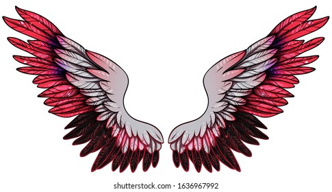 Beautiful magic bright red pink grey wings, hand drawn vector