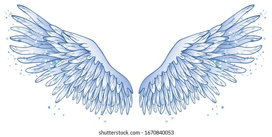 Beautiful magic delicate tender blue white angel wings  vector