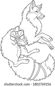 
beautiful magic fox coloring book