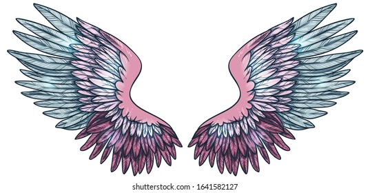 Beautiful magic glittery pink blue angel wings, hand drawn vector