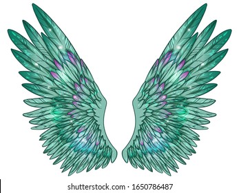 Beautiful magic glittery shiny green wings with touch of 
fuchsia color, vector