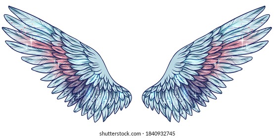 blue pink wings 