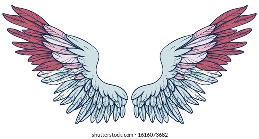 Beautiful magic light tender soft blue pink wings, vector