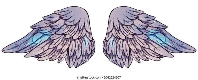Beautiful magic purple blue angel wings, color, vector illustration