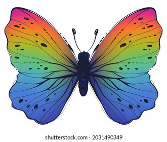 Beautiful magic rainbow butetrfly wings, color, vector