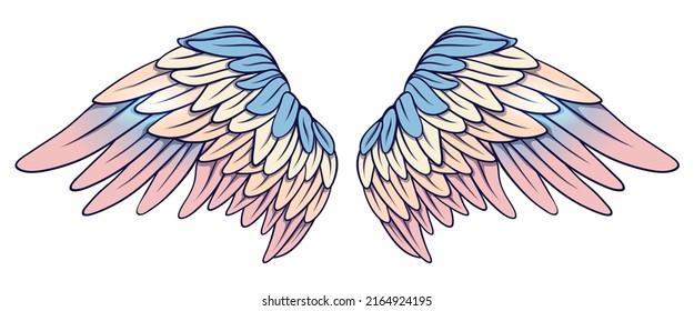 Beautiful magic tender blue pink angel wings, vector 