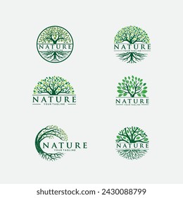 Beautiful magnificent olive and oak trees silhouette isolated on white background. Web infographic modern vector tree sign. Premium quality illustration logo design concept pictogram set.