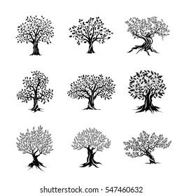 Beautiful magnificent olive and oak trees silhouette isolated on white background. Web infographic modern vector tree sign. Premium quality illustration logo design concept pictogram set.