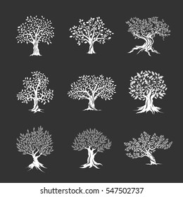 Schöne herrliche Silhouette aus Oliven und Eichen einzeln auf dunklem Hintergrund. Web-Infografik, modernes Vektorbaumzeichen. Piktogramm-Set für Piktogramm-Design in Premiumqualität.