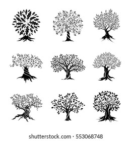 Beautiful magnificent olive and oak trees silhouette isolated on white background. Web infographic modern vector tree sign. Premium quality illustration logo design concept pictogram set.