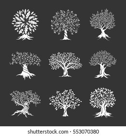 Schöne herrliche Silhouette aus Oliven- und Eichenbäumen einzeln auf dunklem Hintergrund. Web-Infografik, modernes Vektorbaumzeichen. Piktogramm-Set für Piktogramm-Design in Premiumqualität.