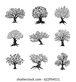 Beautiful magnificent olive and oak trees silhouette isolated on white background. Modern vector tree sign. Premium quality illustration logo design concept badge set.