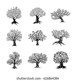 Beautiful magnificent olive and oak trees silhouette isolated on white background. Modern vector tree plant sign. Premium quality illustration logo design concept badge set.