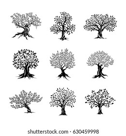 Beautiful magnificent olive and oak trees silhouette isolated on white background. Modern vector tree sign. Premium quality illustration logo design concept badge set.