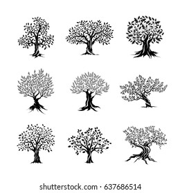 Beautiful magnificent olive and oak trees silhouette isolated on white background. Modern vector tree sign. Premium quality illustration logo design concept badge set. Plant with trunk and leaves.