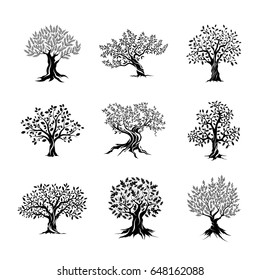 Beautiful magnificent olive and oak trees silhouette isolated on white background. Modern vector tree plant sign. Premium quality illustration logo design concept badge set.