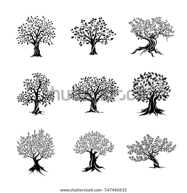 白い背景に美しいオリーブとオークの木のシルエット ウェブインフォグラフィックのモダンベクター画像の木の記号 プレミアム品質イラスト ロゴデザインコンセプトピクトグラムセット のベクター画像素材 ロイヤリティフリー