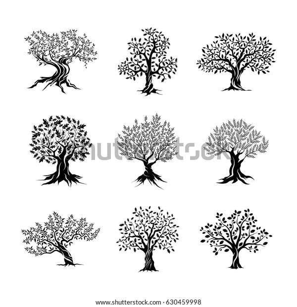 白い背景に美しいオリーブとオークの木のシルエット 現代のベクター画像の木の記号 プレミアムクォリティイラスト ロゴデザインコンセプトのバッジセット のベクター画像素材 ロイヤリティフリー