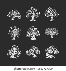 Beautiful magnificent olive tree silhouette icon set isolated on black. Modern virgin natural plant vector sign collection. Premium quality illustration organic ecological logo design emblem bundle.