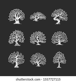 Beautiful magnificent olive tree silhouette icon set isolated on black. Modern virgin natural plant vector sign collection. Premium quality illustration organic ecological logo design emblem bundle.