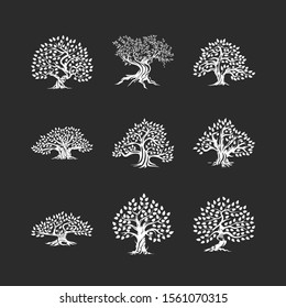 Beautiful magnificent olive tree silhouette icon set isolated on black. Modern virgin natural plant vector sign collection. Premium quality illustration organic ecological logo design emblem bundle.