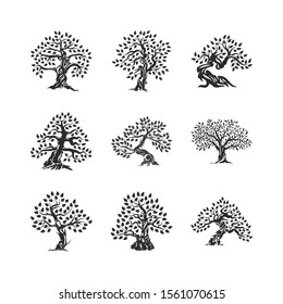 Beautiful magnificent olive tree silhouette icon set isolated on white. Modern virgin natural plant vector sign collection. Premium quality illustration organic ecological logo design emblem bundle.