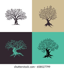 Beautiful magnificent olive tree silhouette isolated on color background. Modern virgin natural plant vector sign. Premium quality illustration organic ecological logo design concept emblem set.