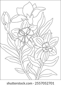 Beautiful Magnolia Flower Coloring Page Vector