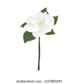 Beautiful Magnolia, Magnolia Flower, Magnolia Leaves, Wedding Background, Bridal Shower Greeting Card, Wedding Invitation, Flower Vector Isolated Icon Symbol Illustration