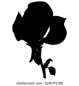 Beautiful magnolia tree flower. Flowering spring magnolia black silhouette, vector Illustration isolated on white background.
