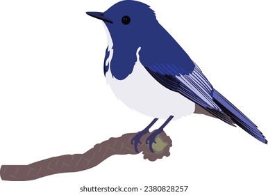 Hermoso diseño vectorial de ladrillo magpie