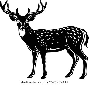 Beautiful male sika deer isolated on white background