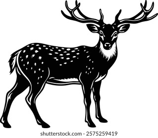 Beautiful male sika deer isolated on white background