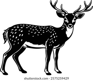 Beautiful male sika deer isolated on white background