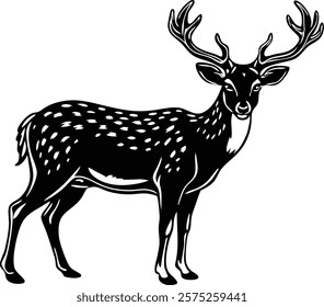 Beautiful male sika deer isolated on white background