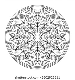 Beautiful mandala  design  circle shape